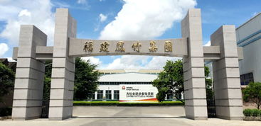 权威发布 2019年国家技术创新示范企业拟认定企业名单公示，福建纺企荣登纺织品领域